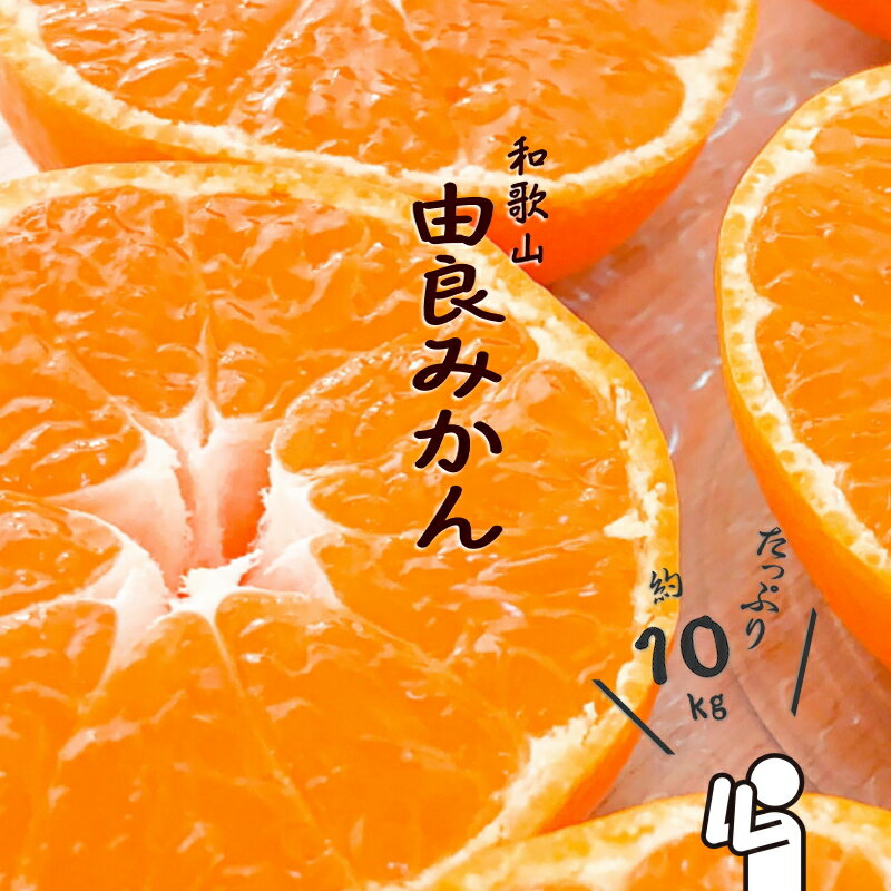和歌山由良みかん　秀品　約10kg　サイズおまかせ(L・М・S) ミカン 柑橘 みかん 和歌山