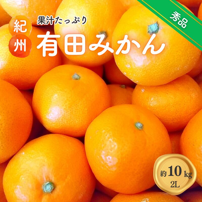 紀州 有田みかん 秀品 10kg（2Lサイズ） 温州みかん ミカン 蜜柑 柑橘 フルーツ ※2025年11月下旬〜2026年1月中旬頃順次発送予定