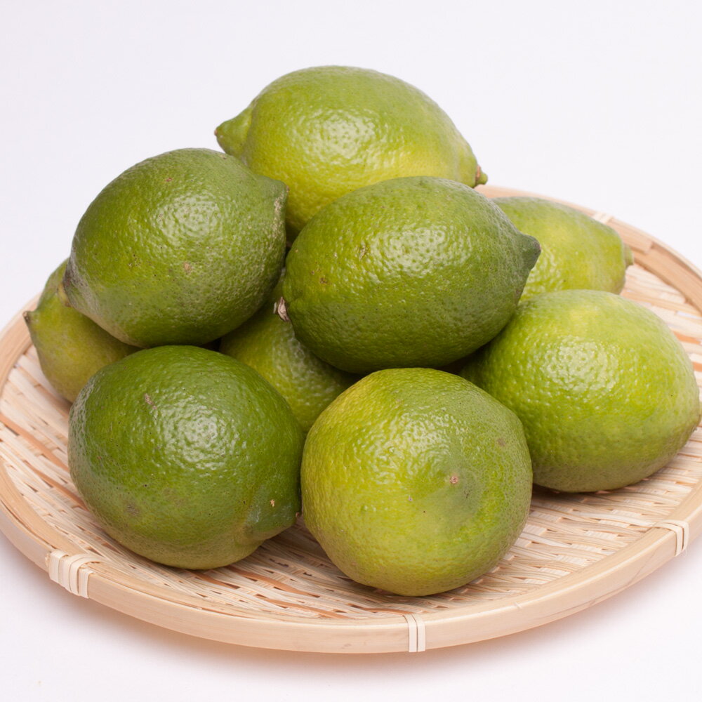 【ふるさと納税】 ＜先行予約＞ 厳選 黒潮レモン 【選べる容量】1kg 2.5kg 5kg 7.5kg 10kg【和歌山有田産】【防腐剤・WAX不使用、安心の国産レモン】＜2025年9月上旬頃〜2026年4月下旬頃に順次発送＞ / フルーツ レモン 檸檬 果物 果汁 柑橘 サムネイル2