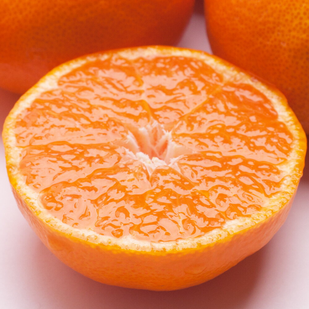 【ふるさと納税】 厳選 柑橘詰合せ 1kg / 2.5kg / 5kg / 7.5kg /10kg【有田の春みかん詰め合わせ・フルーツ詰め合せ・オレンジつめあわせ】【光センサー選別】＜2026年1月〜4月下旬ごろに順次発送＞ / みかん 果物 フルーツ オレンジ ミカン 柑橘 セット 有田みかん サムネイル3