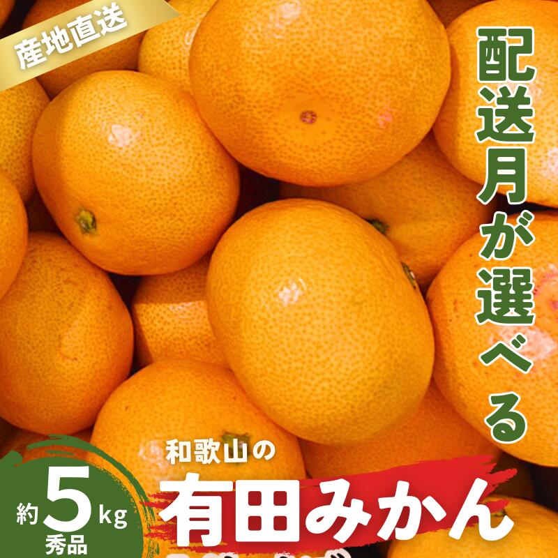 ＼配送月が選べる！／ 秀品 有田みかん 和歌山県産 S〜Lサイズ 大きさお任せ 5kg / みかん フルーツ 果物 くだもの 有田みかん 蜜柑 柑橘