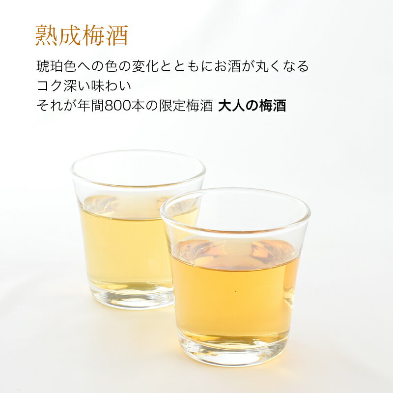 【ふるさと納税】 3年熟成 幻の梅酒 熊野伝説720ml 【黒】 サムネイル2