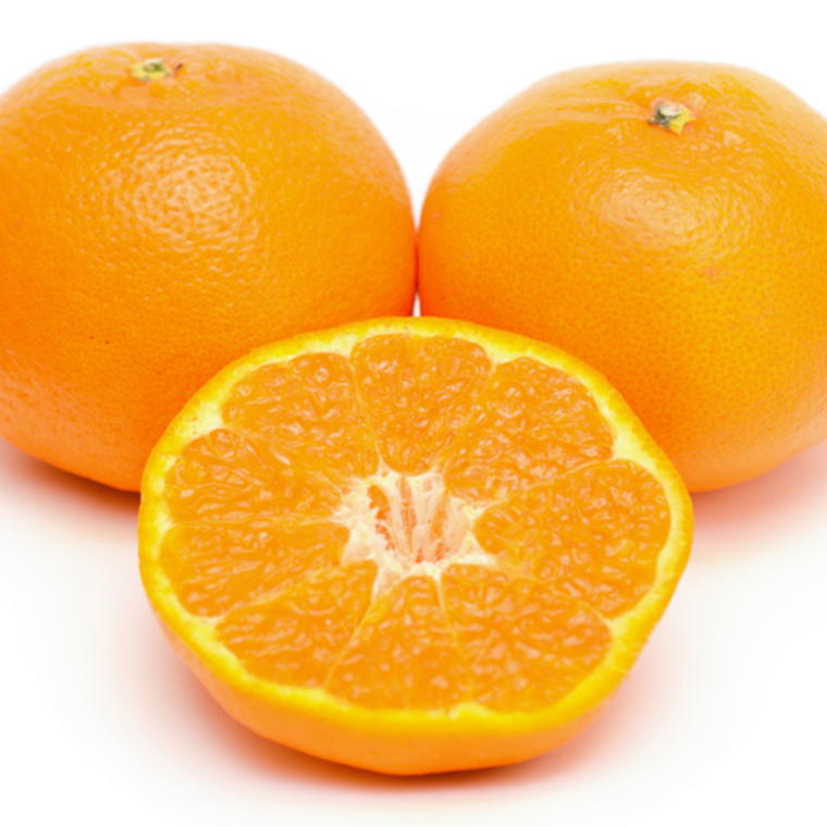 【ふるさと納税】 【厳選・濃厚】紀州有田産のはるみ 4kg(2L〜3Lサイズおまかせ)※2026年1月下旬〜2026年2月中旬頃に順次発送(お届け日指定不可) サムネイル3