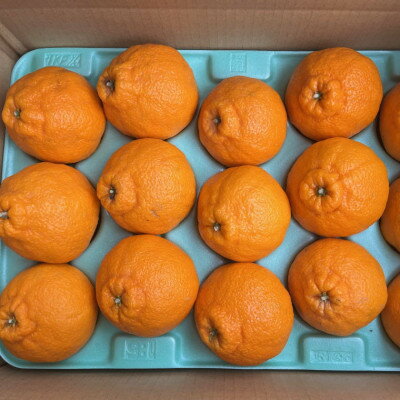 【ふるさと納税】 和歌山県産 不知火 約5kg（12玉〜20玉おまかせ）2026年2月下旬〜2026年4月中旬頃に順次発送予定 サムネイル2