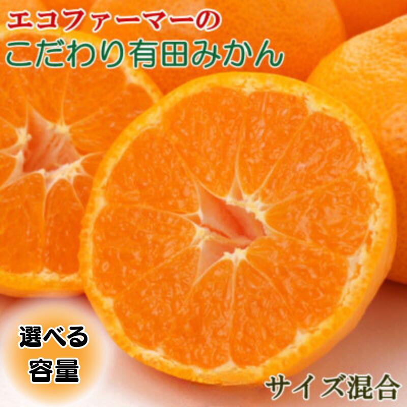 エコファーマーのこだわり有田みかん約5kg〜約10kg(サイズ混合) ※2025年11月中旬〜2026年1月中旬頃順次発送 （お届け日指定不可）