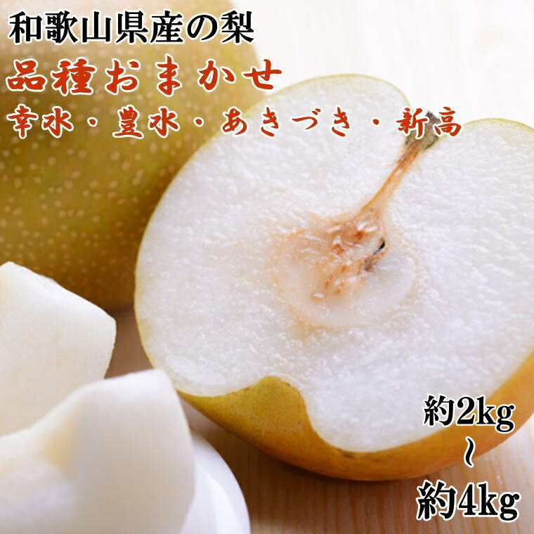 梨 [数量限定] 和歌山県産の梨 【選べる容量】 【約2kg 約4kg】 (品種おまかせ) ※2026年8月下旬～2026年9月下旬頃に順次発送予定 （お届け日指定不可） / 和歌山 果物 なし ナシ