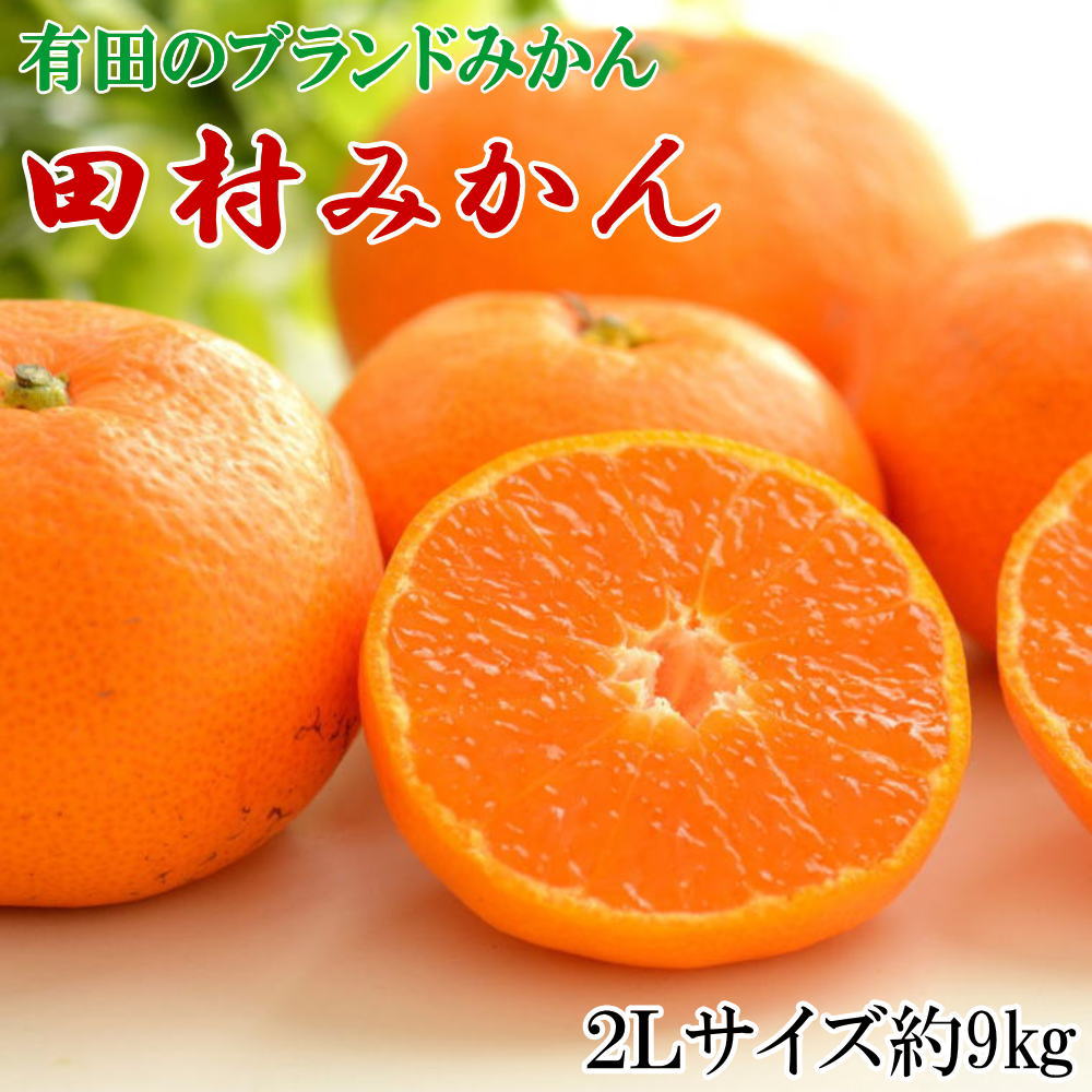 【ブランドみかん】田村みかん大玉約9kg(2Lサイズ) ※2025年11下旬～2025年12月下旬頃に順次発送 【tecj1037】
