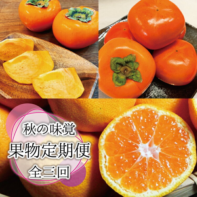 【全3回定期便】秋の味覚 果物定期便 柿・みかん 旬のフルーツを毎月お届け♪