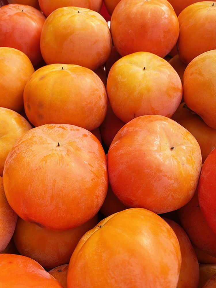 【ふるさと納税】 【ご家庭用わけあり】和歌山秋の味覚 富有柿 約7.5kg ※2025年11月上旬頃〜2025年12月上旬頃に発送（お届け日指定不可） サムネイル3