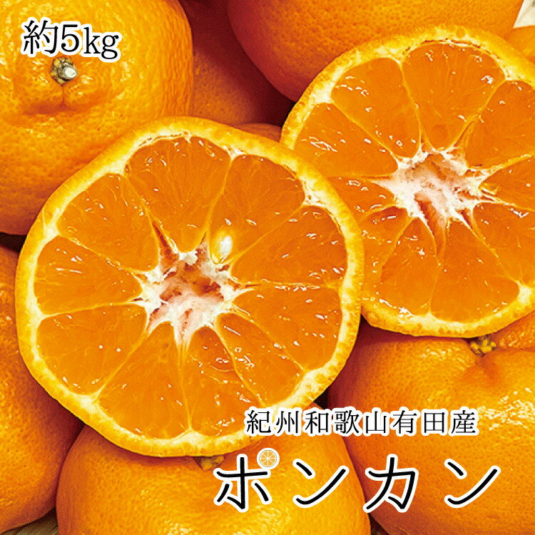 紀州和歌山有田産ポンカン 5kg ※2026年2月上旬頃〜2026年2月下旬頃に順次発送（お届け日指定不可）