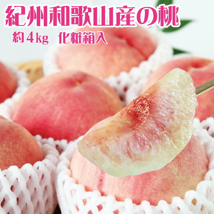 紀州和歌山産の桃 約4kg 化粧箱入※2026年6月下旬頃〜2026年8月上旬頃順次発送（お届け日指定不可）