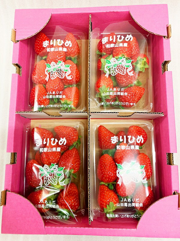 【ふるさと納税】 【来シーズン先行予約】紀州和歌山ブランドいちご「まりひめ」約1kg(250gx4P) ※2026年1月上旬頃〜2026年3月上旬頃順次発送（お届け日指定不可） サムネイル2