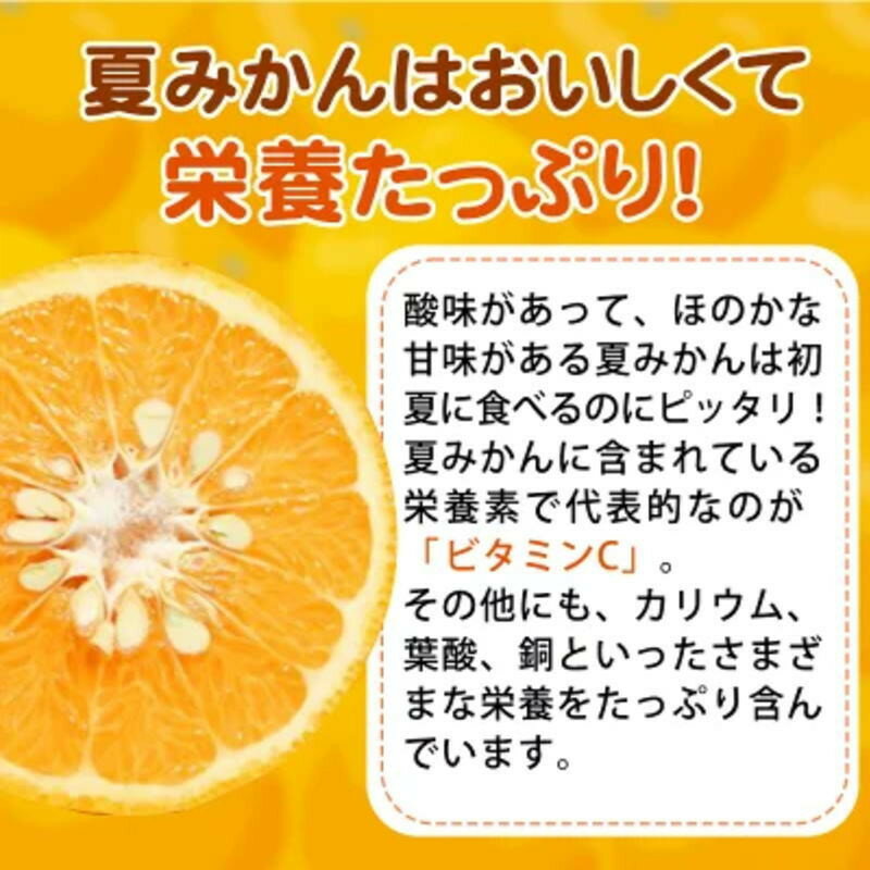 【ふるさと納税】 夏みかん 7.2kg ※2026年4月中旬頃〜2026年4月下旬頃に順次発送（お届け日指定不可） サムネイル3