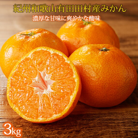 【先行予約】高級ブランド 秀品 紀州有田田村産みかん 3kg ※2025年12月頃〜2026年1月下旬頃に順次発送予定 / みかん ミカン 蜜柑 温州みかん 柑橘 フルーツ 果物