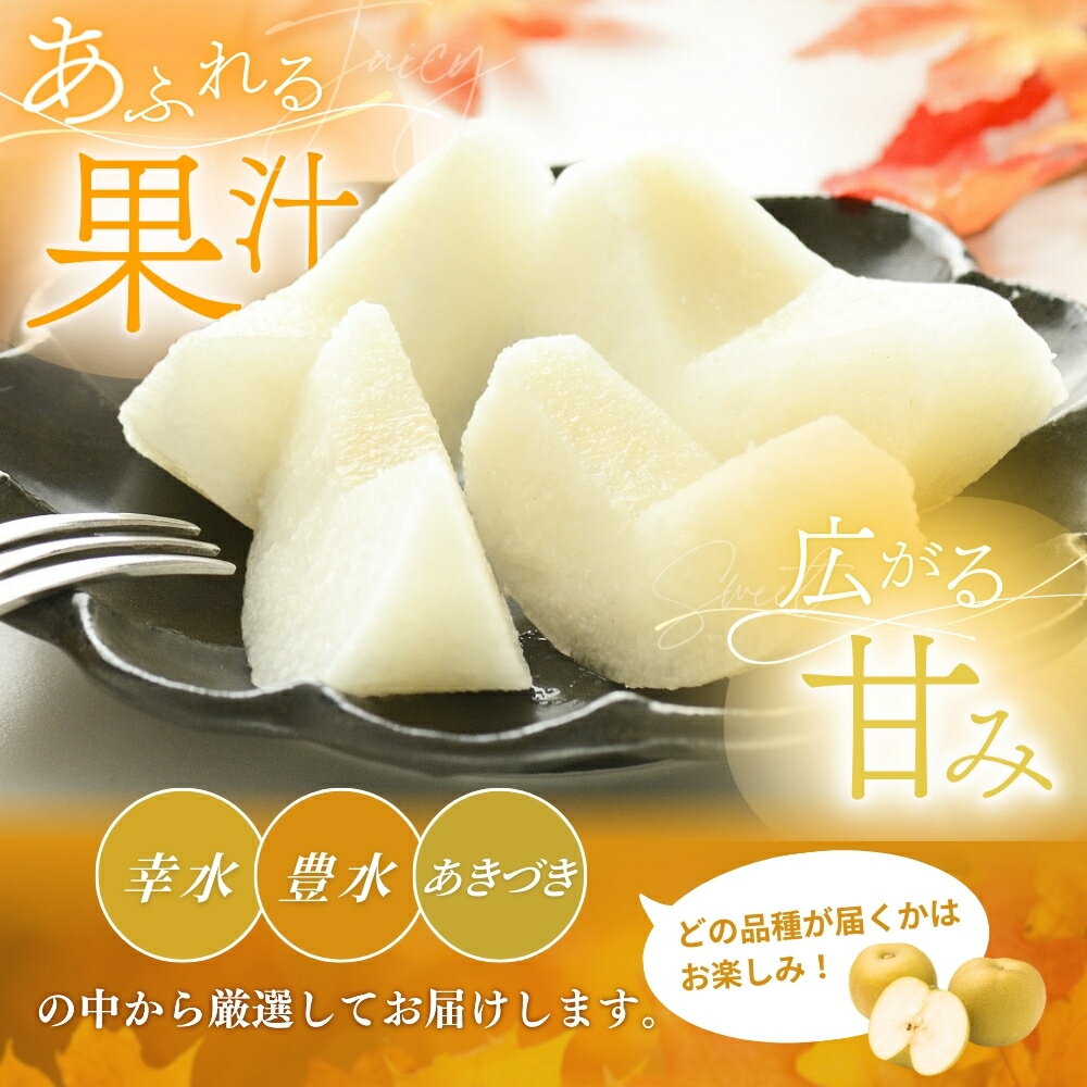 【ふるさと納税】【先行予約】旬の梨(幸水ー豊水ーあきづき) 極上秀品（中玉〜大玉）6〜8個入り2026年8月中旬～9月中旬頃に順次発送予定（お届け日指定不可）/ 和歌山 梨 フルーツ 果物 くだもの【kgr015】 サムネイル2