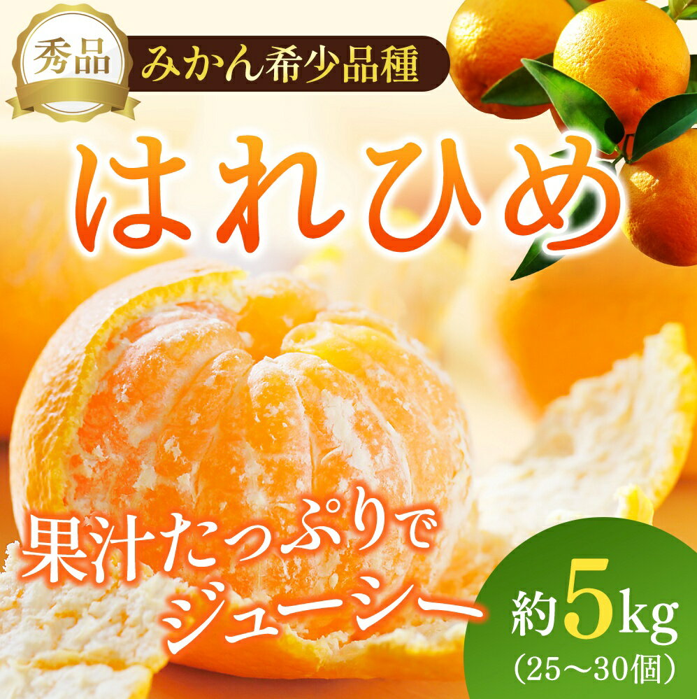 【ふるさと納税】 【来シーズン先行予約】希少種みかん はれひめ 約5kg(25個〜30個) 秀品 2025年12月中旬〜2026年2月初旬頃に順次発送予定（お届け日指定不可）/ 和歌山 みかん はれひめ フルーツ 柑橘 蜜柑 果物 くだもの デザート おやつ 古座川町 サムネイル2