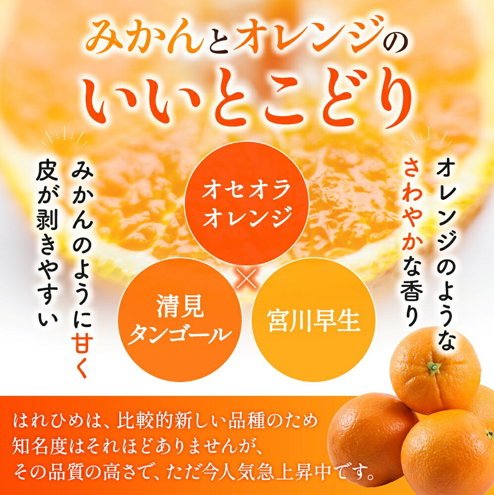 【ふるさと納税】 【来シーズン先行予約】希少種みかん はれひめ 約5kg(25個〜30個) 秀品 2025年12月中旬〜2026年2月初旬頃に順次発送予定（お届け日指定不可）/ 和歌山 みかん はれひめ フルーツ 柑橘 蜜柑 果物 くだもの デザート おやつ 古座川町 サムネイル3