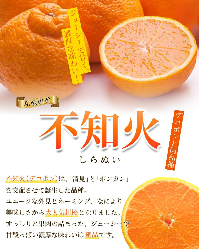 【ふるさと納税】 家庭用 不知火 デコポン 選べる容量 1kg 2.5kg 5kg 7.5kg 10kg 【デコポンと同品種・人気の春みかん】 ＜2026年2月～順次発送＞ 訳あり 訳アリ 不知火 デコポン みかん ミカン 柑橘 果物 くだもの フルーツ 先行予約 サムネイル2