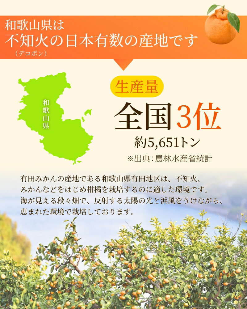 【ふるさと納税】 家庭用 不知火 デコポン 選べる容量 1kg 2.5kg 5kg 7.5kg 10kg 【デコポンと同品種・人気の春みかん】 ＜2026年2月～順次発送＞ 訳あり 訳アリ 不知火 デコポン みかん ミカン 柑橘 果物 くだもの フルーツ 先行予約 サムネイル3