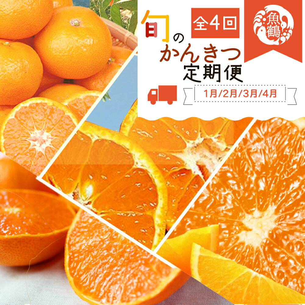 【4か月定期便】旬の柑橘定期便 / みかん ミカン 柑橘 オレンジ 果物 くだもの フルーツ フルーツ定期便 和歌山【tkb416】