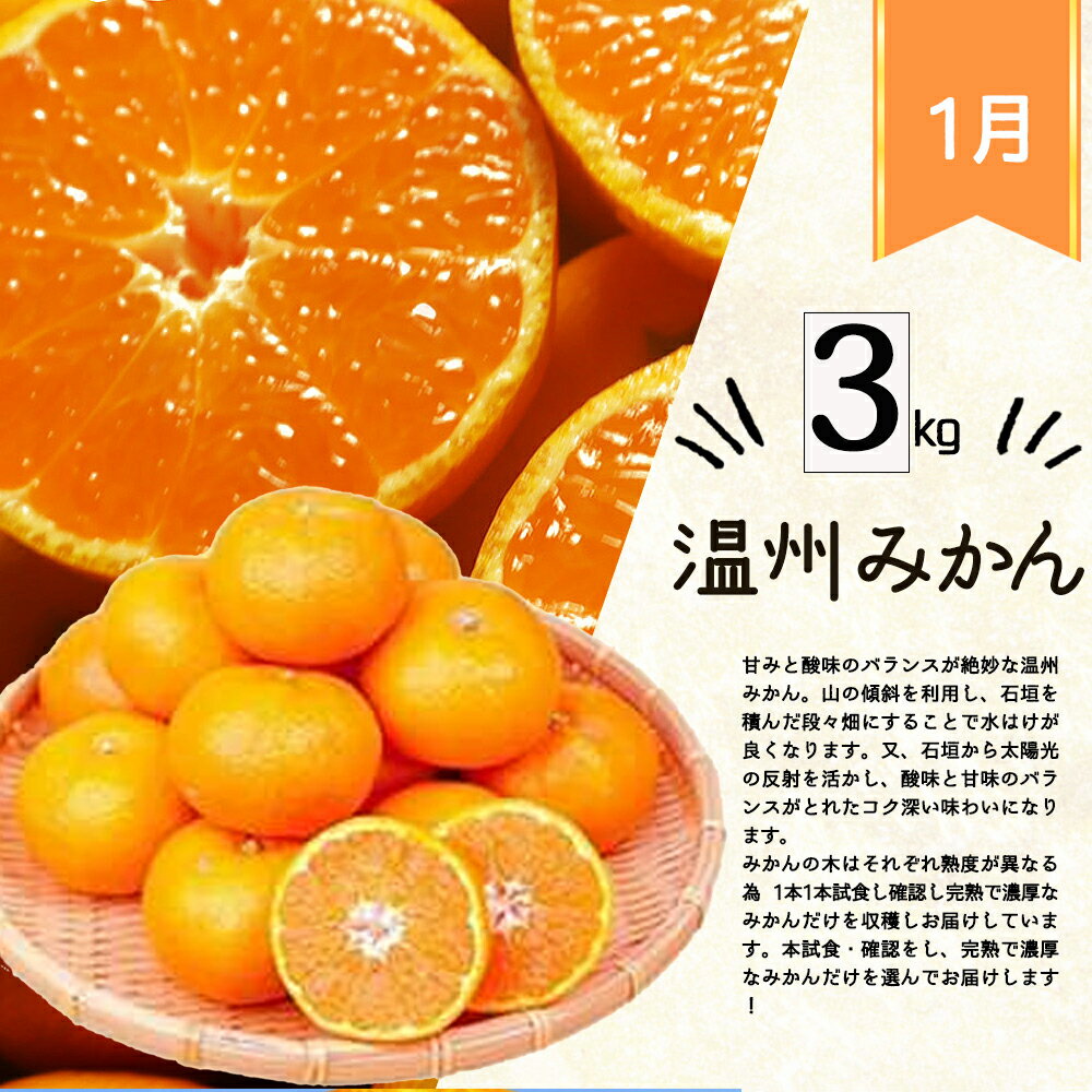 【ふるさと納税】【4か月定期便】旬の柑橘定期便 / みかん ミカン 柑橘 オレンジ 果物 くだもの フルーツ フルーツ定期便 和歌山【tkb416】 サムネイル2