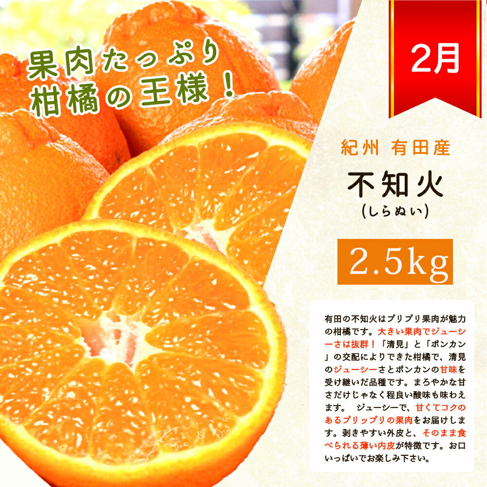 【ふるさと納税】【4か月定期便】旬の柑橘定期便 / みかん ミカン 柑橘 オレンジ 果物 くだもの フルーツ フルーツ定期便 和歌山【tkb416】 サムネイル3