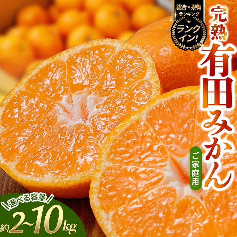 みかん 有田みかん 2kg 4kg 5kg 6kg 8kg 10kg 傷み補償付 訳あり 選べる容量 配送時期 人気 高評価 光センサー選別 家庭用 ご家庭用 みかん ミカン 果物 くだもの フルーツ 柑橘 人気 産地直送 予約 6000円 10000円