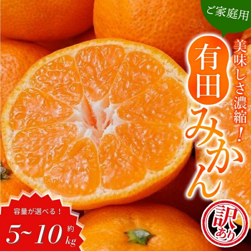 訳あり みかん 有田みかん 5kg 7.5kg 10kg 選べる容量 数量限定 家庭用 ご家庭用 訳アリ みかん ミカン 温州みかん 柑橘 果物 くだもの フルーツ サイズ混合 人気 8000円 10000円 13000円 ※2025年11月中旬～順次発送予定