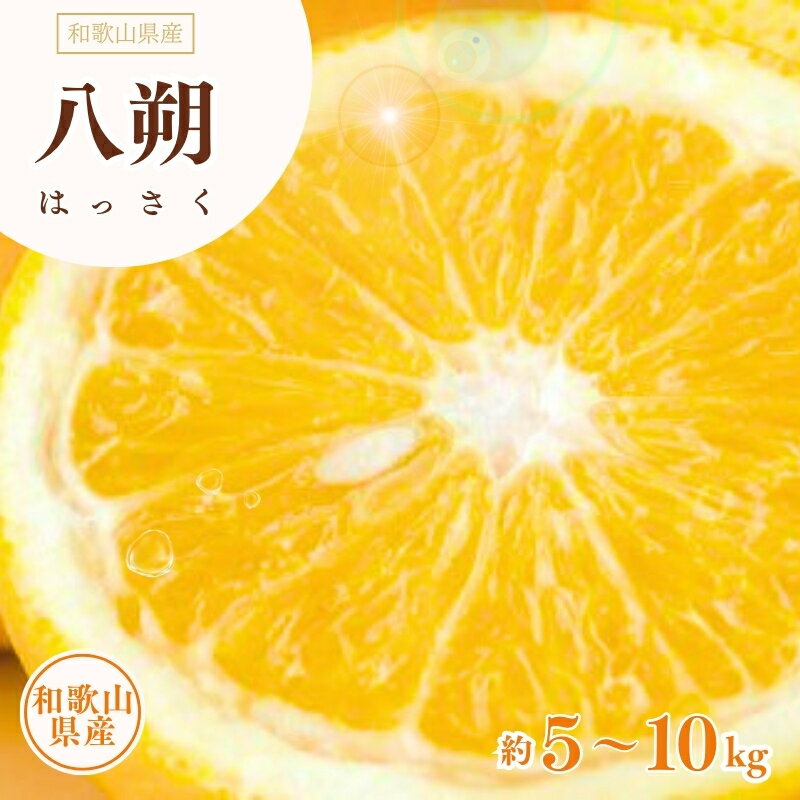 八朔(はっさく) 約5kg 約10kg サイズおまかせ 紀伊国屋文左衛門本舗【予約受付/2026年1月下旬〜4月上旬頃に発送】(お届け日指定不可)