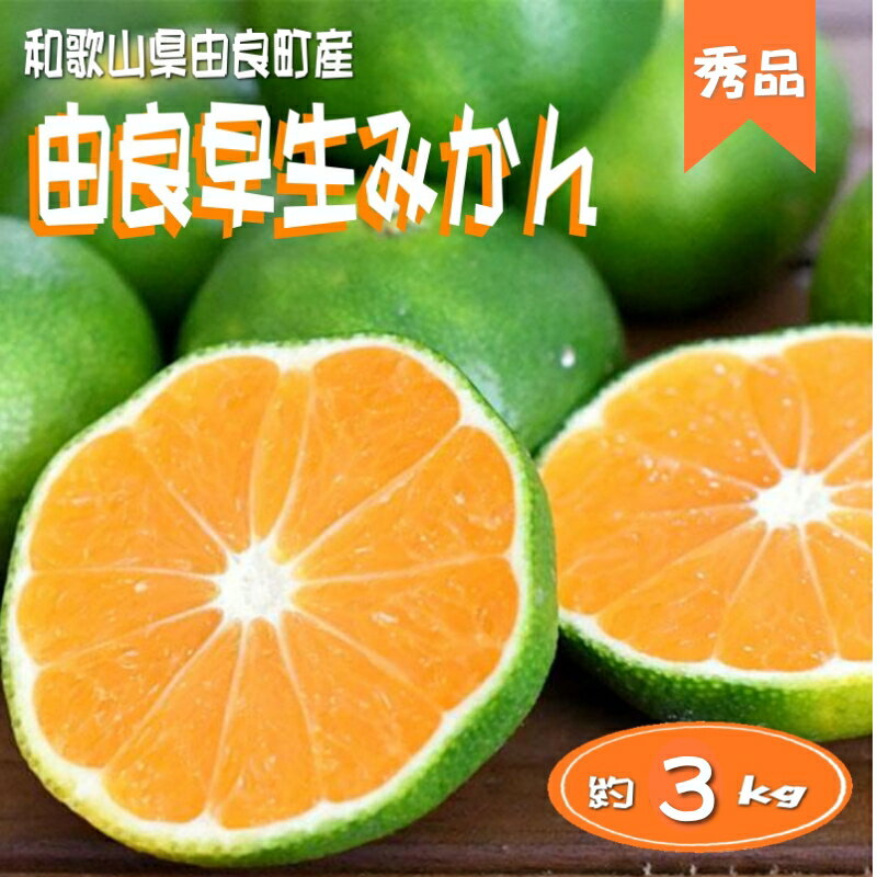【先行予約】【秀品】和歌山由良町産 由良早生みかん 約3kg サイズおまかせ (L〜2S) いずれかお届け ミカン 柑橘 みかん 和歌山