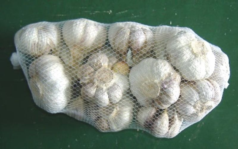 【ふるさと納税】 由良町産にんにく 優品 約1.8kg (900g×2) M〜Lサイズ / にんにく ニンニク 野菜 やさい 食品【2026年4月下旬～順次発送予定】 - 画像3