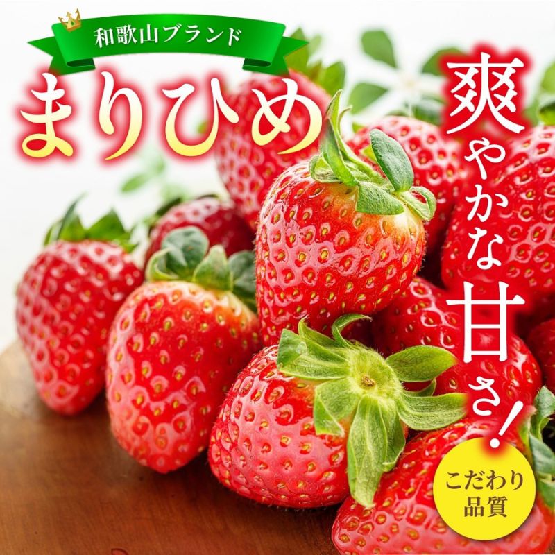 いちご イチゴ まりひめ 12粒〜15粒入り 2パック 500g or 4パック 1kg 先行予約 選べる容量 ☆和歌山ブランド☆ いちご イチゴ 苺 フルーツ 果物 くだもの 旬 人気 産地直送 和歌山 【2026年1月中旬頃～3月中旬頃に順次発送予定（お届け日指定不可)】
