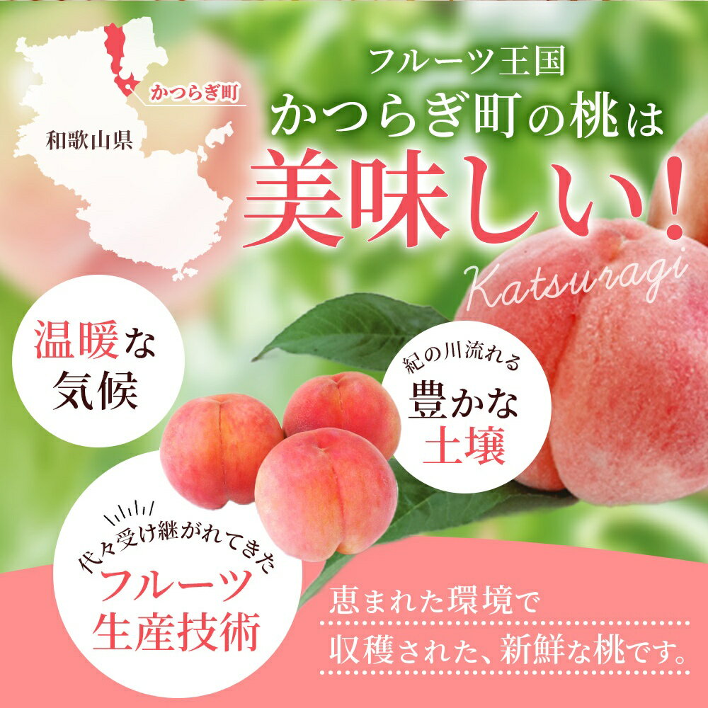 【ふるさと納税】 【先行予約】【厳選】あふれる果汁で口いっぱい！ 和歌山県産 桃 【3玉 or 約2kg（6個〜9個）】【2026年7月末頃～2026年8月末頃に順次発送予定】（お届け日指定不可） / 和歌山 桃 モモ フルーツ もも 白桃 果物 くだもの サムネイル3