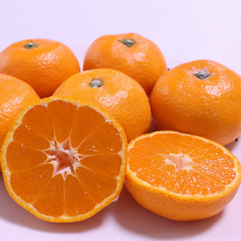 【ふるさと納税】＼ みかんの名産地 和歌山県産／ 農家直送 大玉 有田みかん 5kg （2L～3L） ひとつひとつ手選別で厳選【2025年11月下旬～1月中旬ごろに順次発送予定】 | みかん フルーツ 果物 くだもの 有田みかん 蜜柑 柑橘【hdm001-1A】 サムネイル3