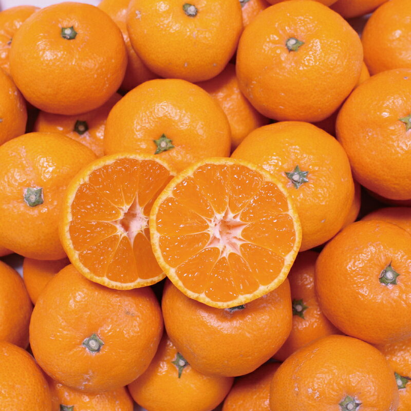 【ふるさと納税】こだわりの和歌山県産 有田みかん 3kg（S～Lサイズおまかせ） ひとつひとつ手選別で厳選！生産者から直送 【2025年11月下旬～1月中旬ごろに順次発送予定】 | みかん フルーツ 果物 くだもの 有田みかん 蜜柑 柑橘【hdm004A】 サムネイル3