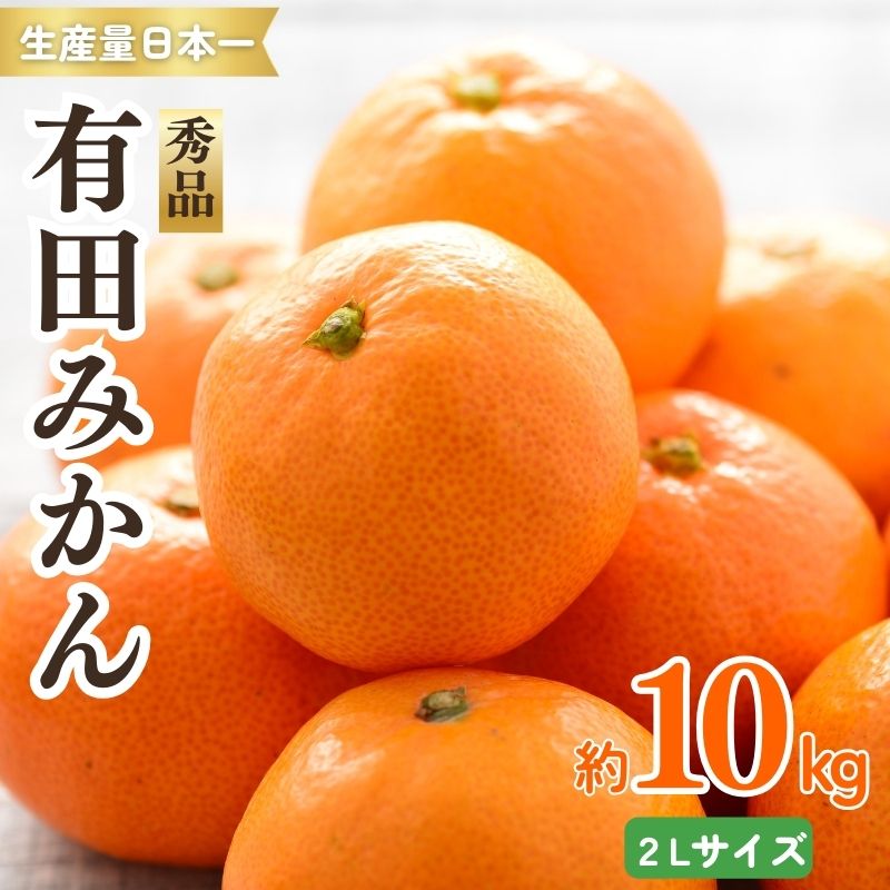 紀州有田みかん 秀品 約10kg　2Lサイズ　※2025年11月下旬頃より順次発送予定 | みかん ミカン 蜜柑 有田みかん ブランドみかん フルーツ 果物 くだもの 秀品みかん 家庭用 旬 産地直送 予約【sml129A】