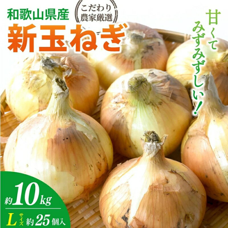 和歌山県産新玉ねぎ約10kg　Lサイズ 約25個入り　こだわり農家厳選！【2026年4月末頃～6月中旬に発送予定】 | 人気 おすすめ たまねぎ 玉ねぎ 玉葱 タマネギ オニオン スープ サラダ 国産 野菜 新鮮 ビッグサイズ 大きい BBQ【kgr033】