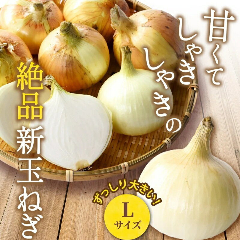 【ふるさと納税】和歌山県産新玉ねぎ約10kg　Lサイズ 約25個入り　こだわり農家厳選！【2026年4月末頃～6月中旬に発送予定】 | 人気 おすすめ たまねぎ 玉ねぎ 玉葱 タマネギ オニオン スープ サラダ 国産 野菜 新鮮 ビッグサイズ 大きい BBQ【kgr033】 - 画像2