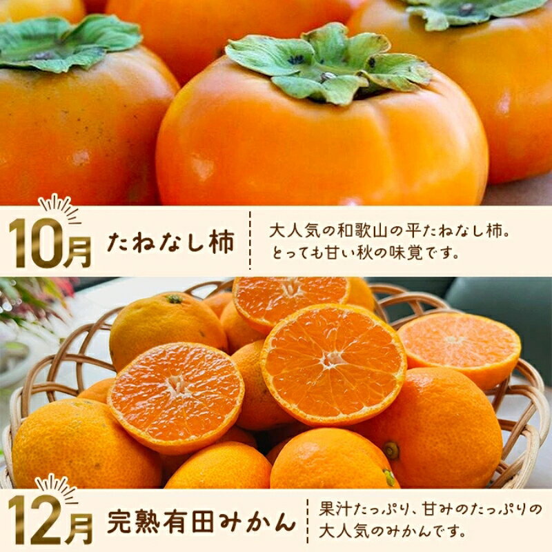 【ふるさと納税】 わかやま 旬の フルーツ 定期便【S】 全4回 / 有田みかん まりひめ いちご 桃 柿 ※北海道・沖縄・離島への配送不可 サムネイル3