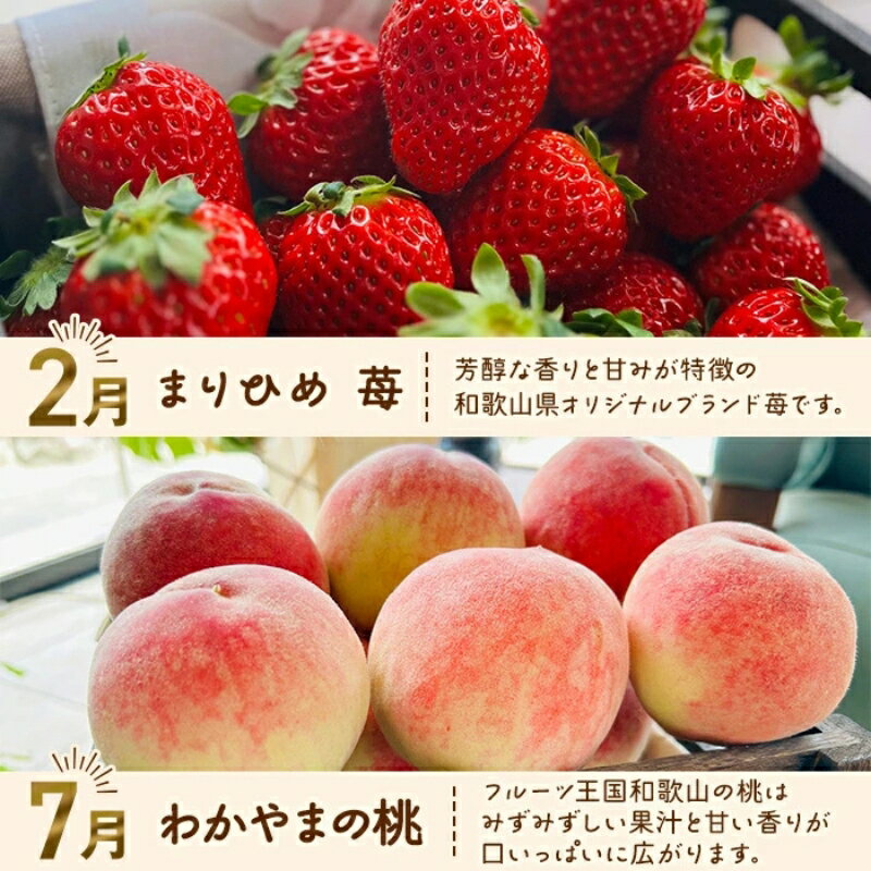 【ふるさと納税】 わかやま 旬の フルーツ 定期便 【L】全4回 / 有田みかん まりひめ いちご 桃 柿 ※北海道・沖縄・離島への配送不可 サムネイル2