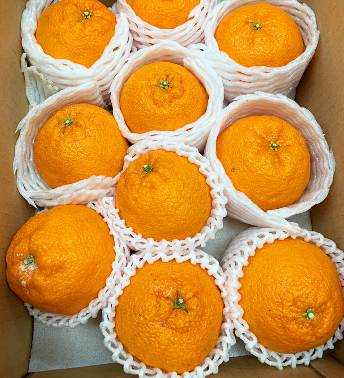 【ふるさと納税】 果肉プリプリ♪ 完熟紀州デコ(不知火) 約3kg・5kg ＜2025年2月中旬頃〜3月中旬頃発送＞ サムネイル3