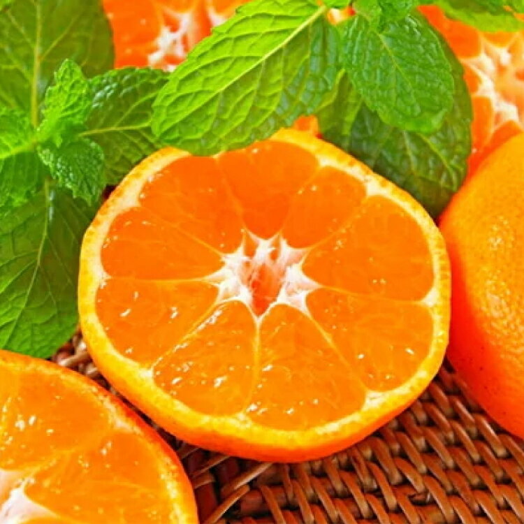 【ふるさと納税】 農園直送！完熟有田みかん 【選べる容量・発送月】 ※2025年11月〜12月に順次発送予定（お届け日指定不可） サムネイル3