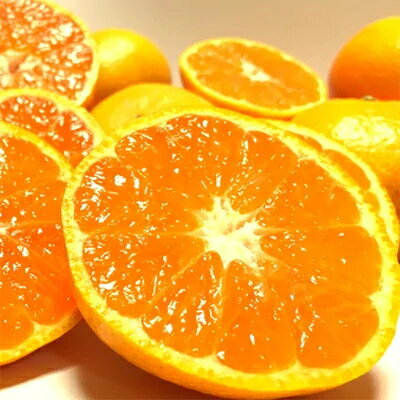 【ふるさと納税】 【果汁たっぷり】迫力満点！ 大粒 有田みかん 【選べる容量】 ※2025年11月中旬〜12月下旬頃に順次発送予定 サムネイル3