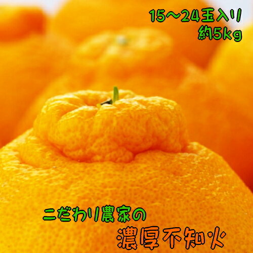 【先行予約】こだわり農家の濃厚不知火（デコポンと同品種） 約5kg (15〜24玉) ※2026年1月中旬〜3月下旬頃に順次発送予定 ※着日指定不可