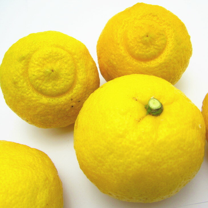 ＜1月下旬〜＞【先行予約】【人気柑橘】有田育ちの はるか みかん（訳あり 家庭用）約1kg 約3kg 約4kg 約5kg 約8kg 約10kg ※2026年1月下旬〜3月下旬頃に順次発送予定