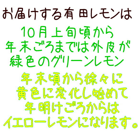 【ふるさと納税】 紀州和歌山 ご家庭用 有田レモン 約5kg【防腐剤・ワックス不使用】【農家直送】【訳あり】 ※着日指定不可 ※9月下旬〜1月下旬頃に順次発送 サムネイル3