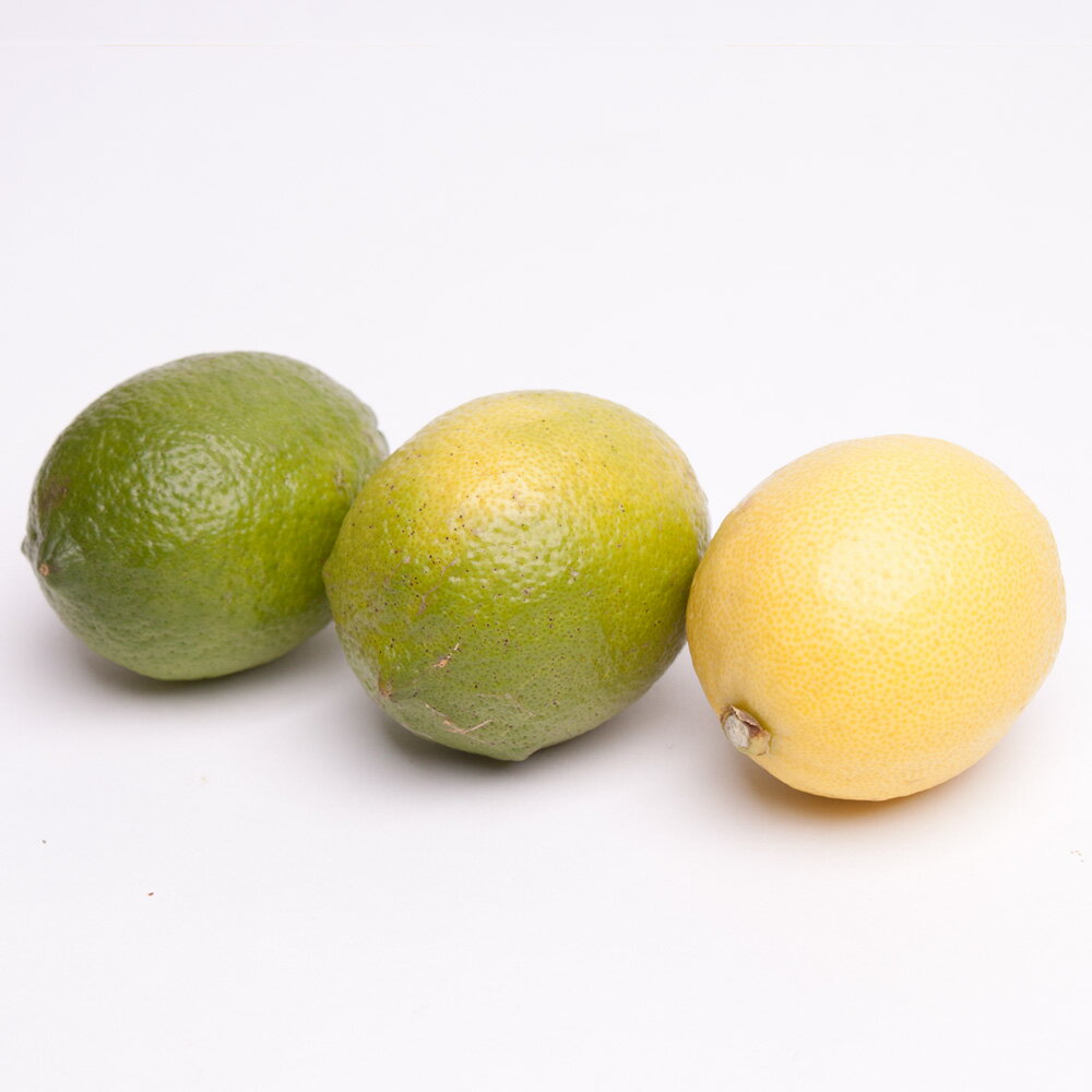 【ふるさと納税】 ＜先行予約＞ 厳選 黒潮レモン 【選べる容量】1kg 2.5kg 5kg【和歌山有田産】【防腐剤・WAX不使用、安心の国産レモン】＜2025年9月上旬頃〜2026年4月下旬頃に順次発送＞ / フルーツ レモン 檸檬 果物 果汁 柑橘 サムネイル3