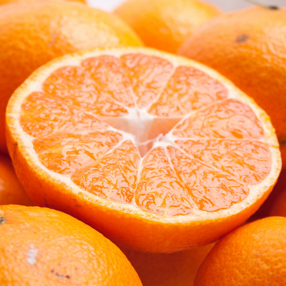 【ふるさと納税】家庭用 柑橘詰合せ 1kg / 2.5kg / 5kg 【訳あり・わけあり】【有田の春みかん詰め合わせ・フルーツ詰め合せ・オレンジつめあわせ】【光センサー選別】＜2026年1月〜4月下旬ごろに順次発送＞ / みかん セット 有田みかん 柑橘 果物 フルーツ サムネイル3