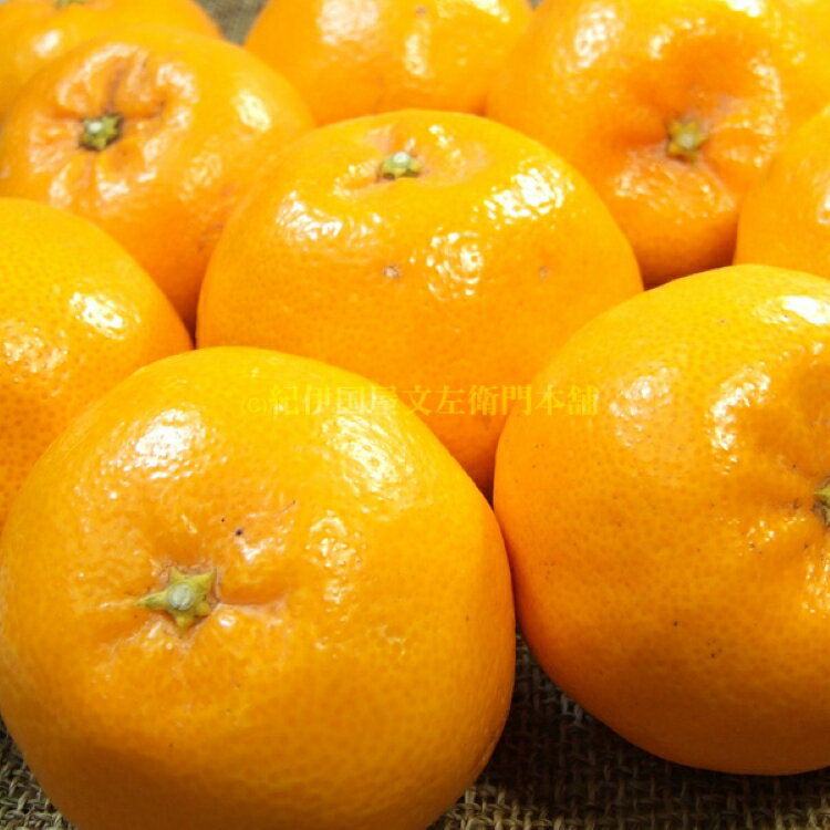 【ふるさと納税】 はるみ 【選べる容量】 約3kg / 約4kg / サイズおまかせ ※2026年1月下旬～2026年3月中旬頃に順次発送予定(お届け日指定不可) 紀伊国屋文左衛門本舗 サムネイル2