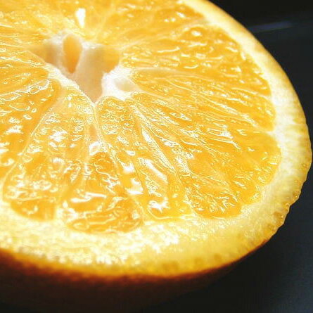 【ふるさと納税】 八朔(はっさく) 約5kg 約10kg サイズおまかせ 紀伊国屋文左衛門本舗【予約受付/2026年1月下旬〜4月上旬頃に発送】(お届け日指定不可) サムネイル2